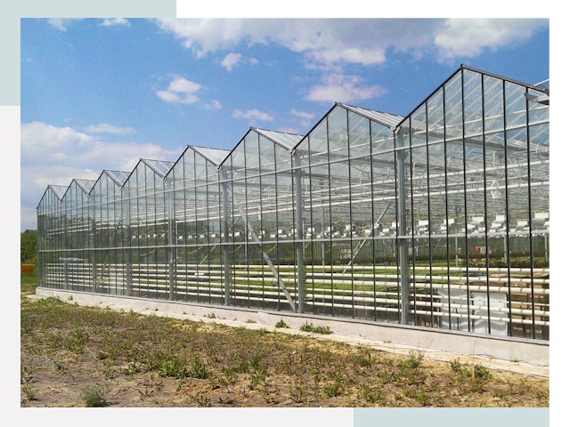 Строительство теплиц в Троицк от 619 руб. за м²